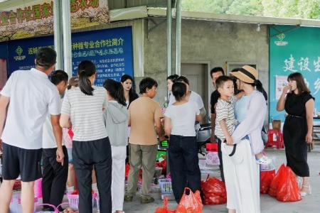 一镇李香迎盛夏 千年雕韵焕新程│连城四堡镇2026芙蓉李采摘季启幕
