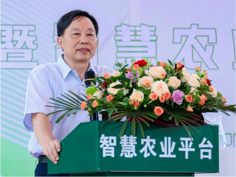 福建平和县首个智慧农业服务平台上线 助力蜜柚产业数字化转型