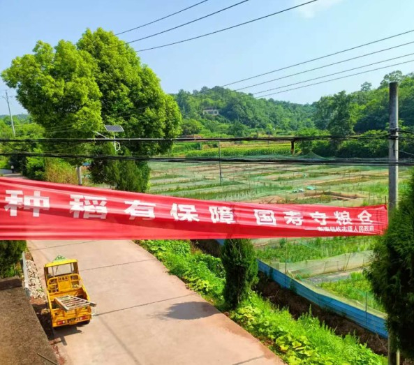 国寿财险衡南县支公司水稻保险宣传走进柞市镇 助力粮食稳产增收