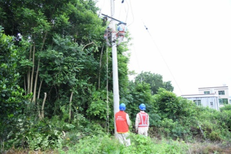 国网云霄县供电公司：冒雨抢修作业 保障群众用电