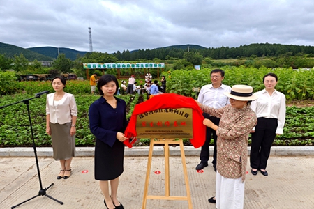 打造边境文艺文旅新地标 绥芬河市红花岭向日葵写生创作基地揭牌