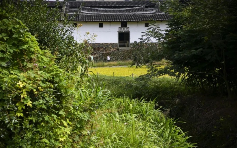 业态错位互补 资源双向赋能│福建永泰双康养IP构建身心同养旅居新范式