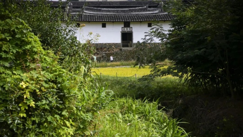 业态错位互补 资源双向赋能│福建永泰双康养IP构建身心同养旅居新范式