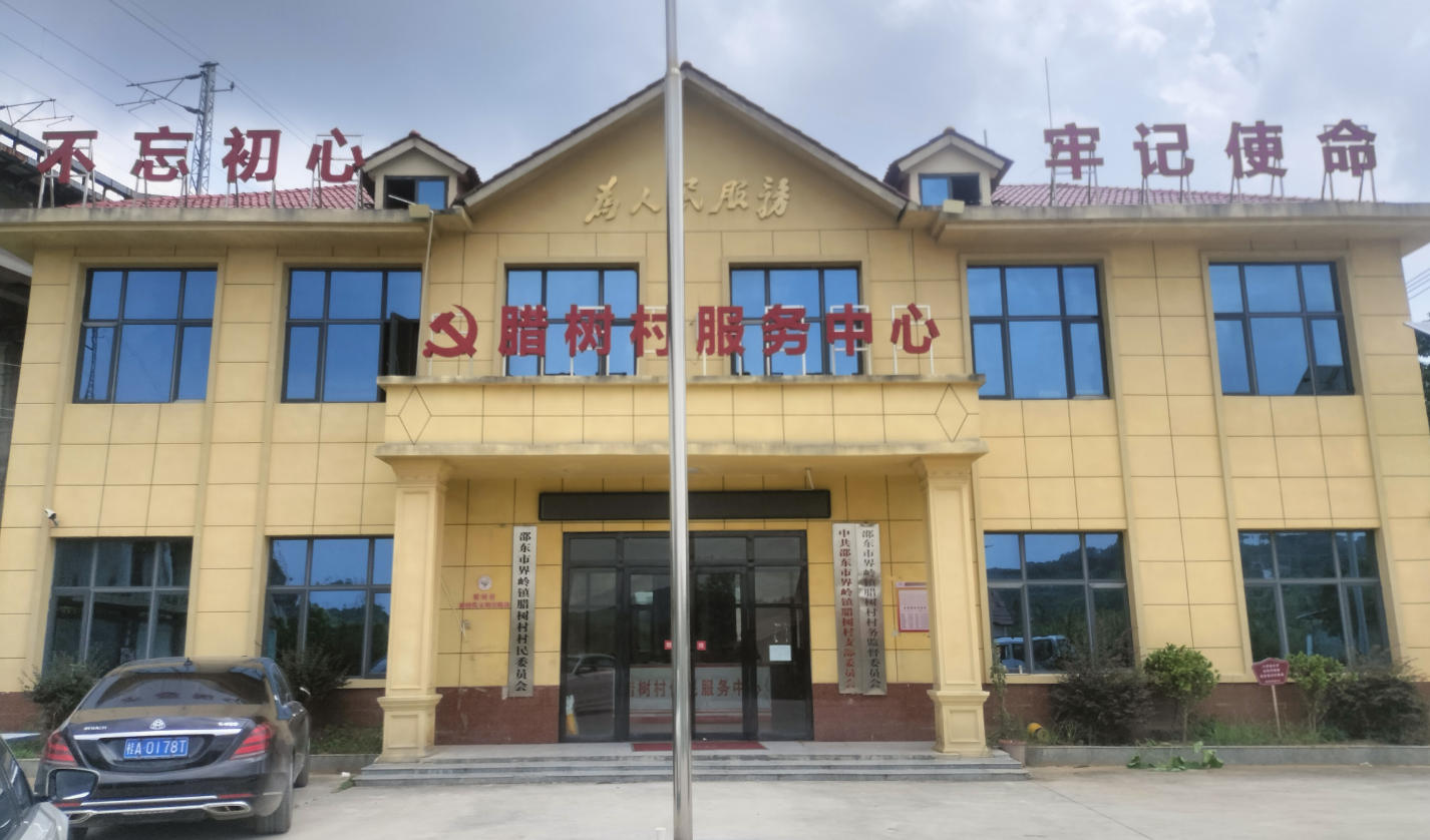 弃商返乡践初心 躬身实干兴乡村 - 记邵东市腊树村党支部书记王彩民