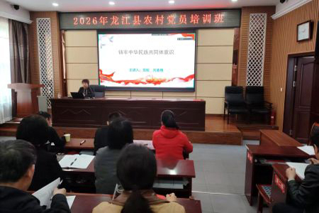 龙江县：锚定干部淬炼严管培育以务实担当赋能县域振兴