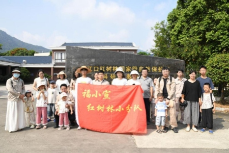 探秘红树林 童心绘生态 - 国网云霄供电以亲子研学践行&ldquo;绿电方舟&rdquo;公益行动