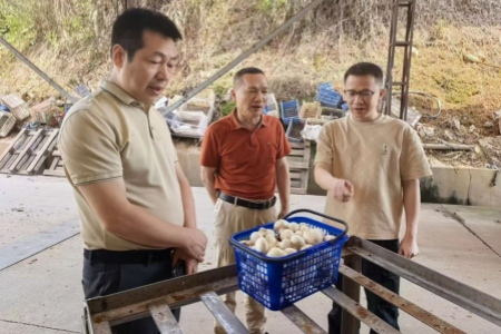漳州南靖落实&ldquo;四个最严&rdquo;要求 推动农水产品质量安全监管提质增效