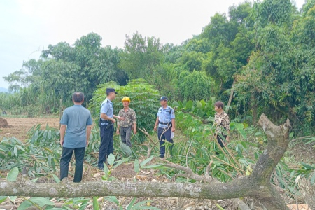 福建南靖：邻里林地纠纷积怨半年 民警两小时调解促和解