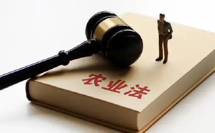 农业法完成三十余年来最大幅度修订 筑牢农业强国制度根基