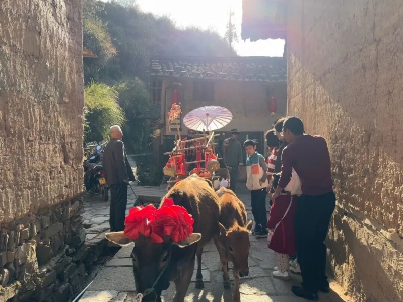 福建长汀丁屋岭：客家古寨的人居密码与康养生态