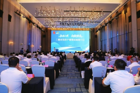 福建宁化县依托投洽会平台推进精准招商 两大重点项目亮相产业推介会