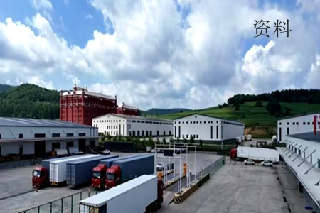 前8个月绥芬河海关监管中欧班列同比增长超七成 口岸双向通行效能实现新突破