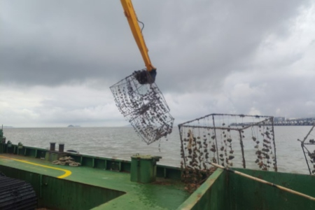 厦门海洋执法强化科技赋能智慧管控 保持海上违法养殖零容忍高压态势