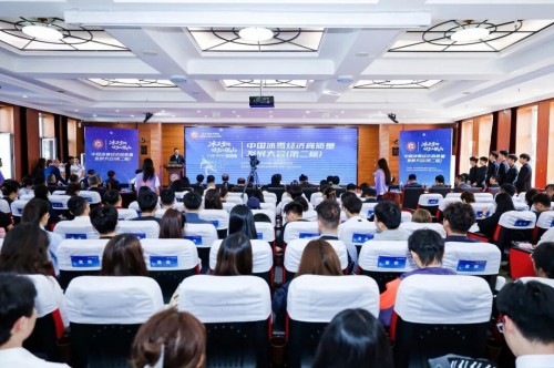 冰天雪地也是金山银山 第二届中国冰雪经济高质量发展大会在哈尔滨举行
