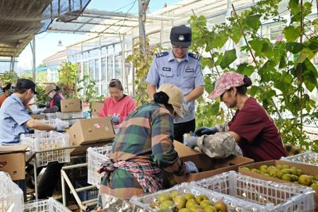 从田间到市场  鞍山公安全程守护&ldquo;致富果&rdquo;