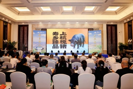 &ldquo;寿乡臻品&middot;上杭槐猪&rdquo;推介对接活动在福州举行 地标特产加速向区域公用品牌跃升