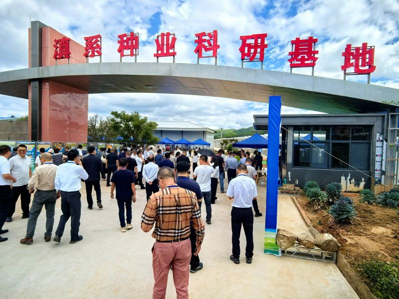 云南・楚雄 2026 年滇系种业发展大会在楚雄市召开