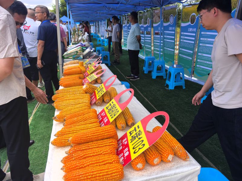 商圈客流量超700万人次！云南省国庆消费市场供需两旺