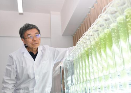 生物微藻产业发展前景广阔 云南从&ldquo;跟跑&rdquo;&ldquo;并跑&rdquo;迈向&ldquo;领跑&rdquo;