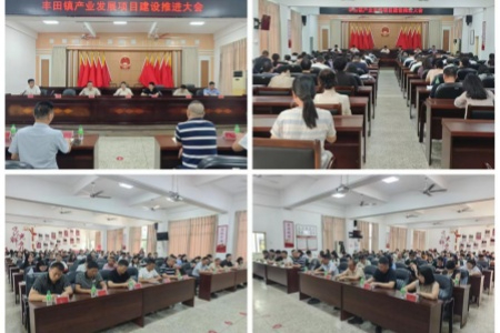 福建南靖丰田镇：以项目攻坚+耕地守护+作风提效落实全县大会部署