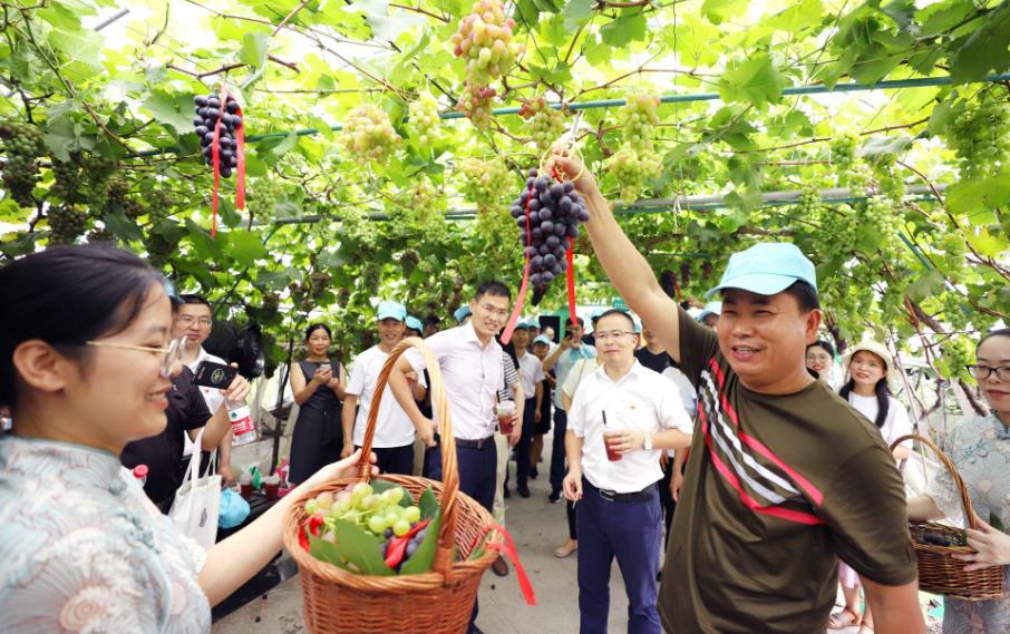 瞄准京津冀周末客群 怀来葡萄酒产业把品鉴游升级为深度度假游